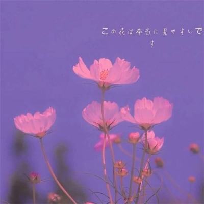 泡泡堂之标王之王